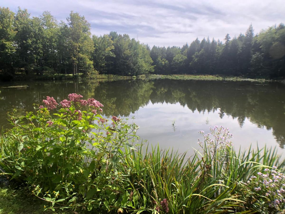 Mill Pond Inn Jefferson Kültér fotó